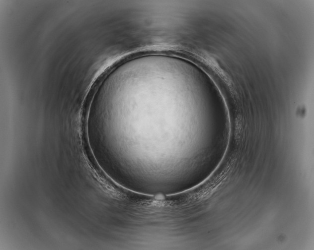 X0000101211412200806271403