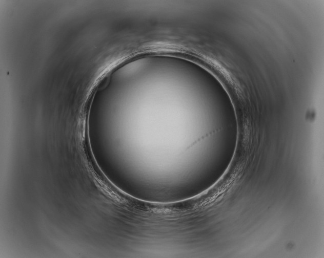 X0000101211413200806271404
