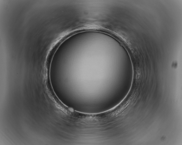 X0000101211414200806271404