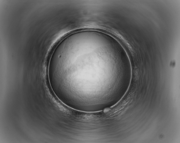 X0000101211416200806271404