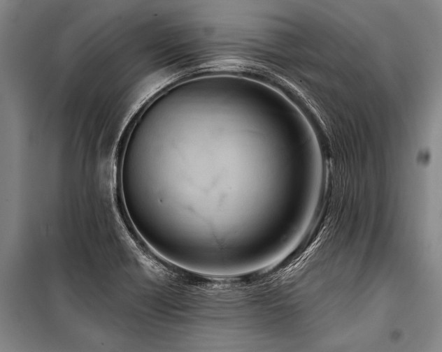 X0000101211418200806271404