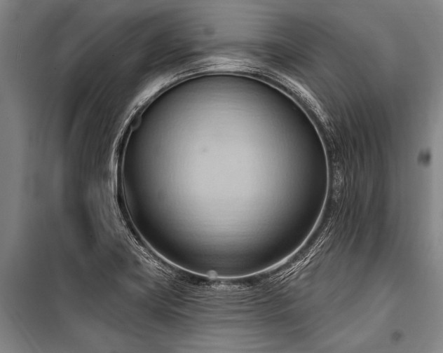 X0000101211419200806271404