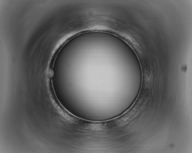 X0000101211422200806271404