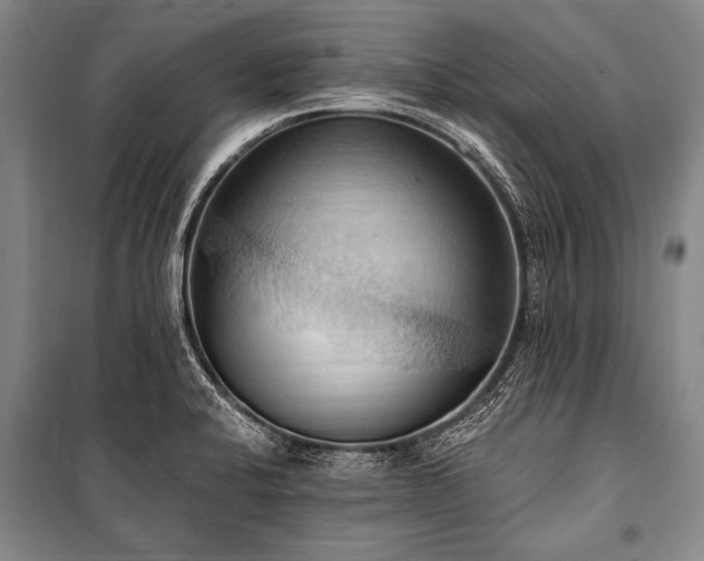 X0000101211424200806271404