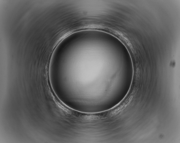 X0000101211425200806271404