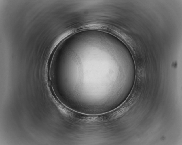 X0000101211426200806271404
