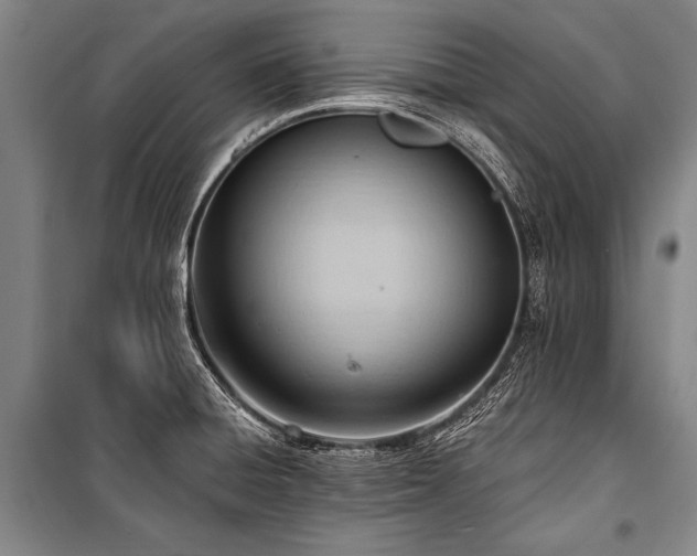 X0000101211428200806271404