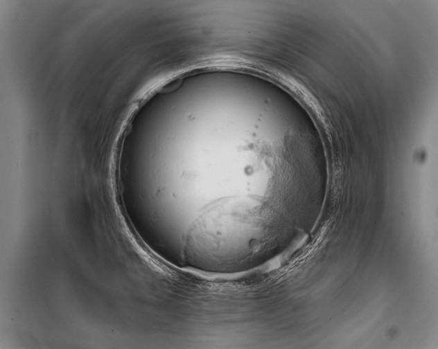 X0000101211429200806271404