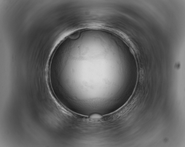 X0000101211432200806271404