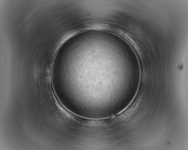 X0000101211433200806271404
