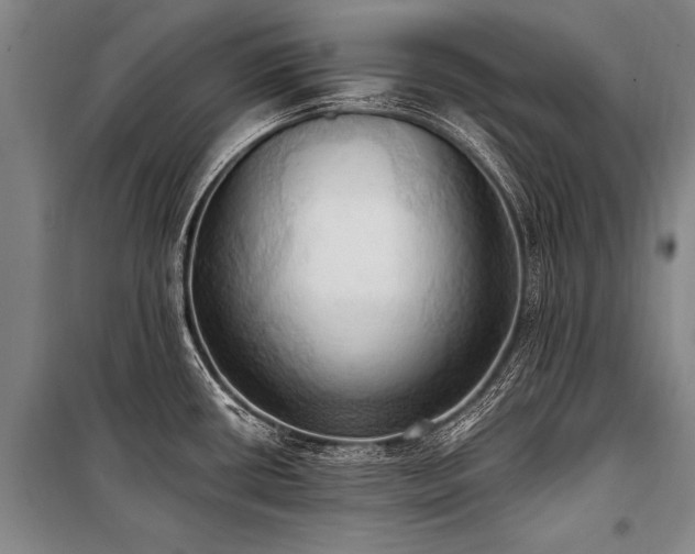 X0000101211434200806271404