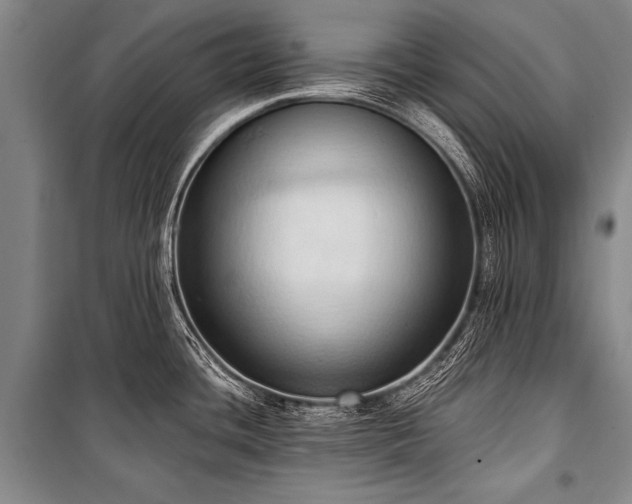 X0000101211436200806271404