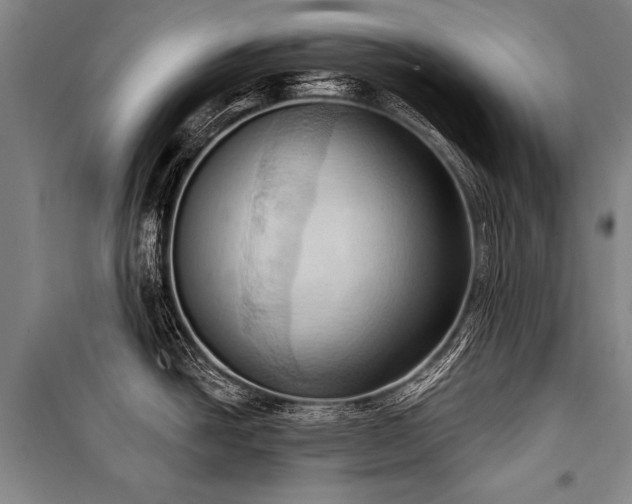 X0000101211438200806271404