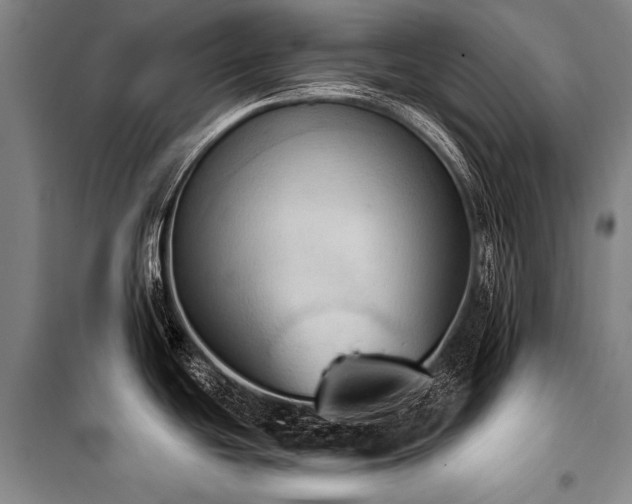 X0000101211439200806271404