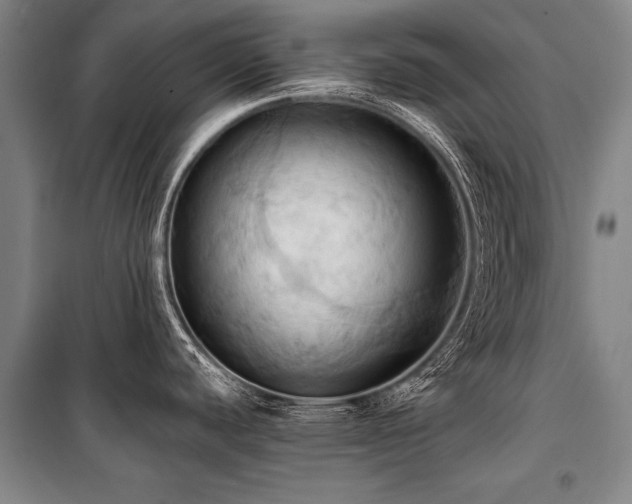 X0000101211440200806271404