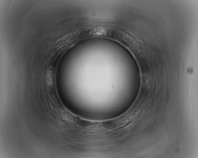 X0000101211442200806271403