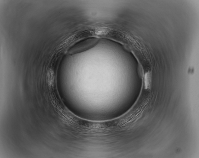 X0000101211443200806271403