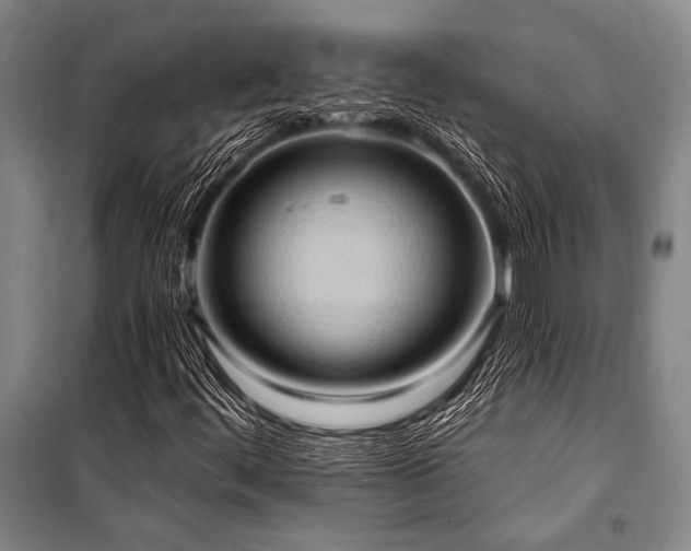 X0000101211444200806271403
