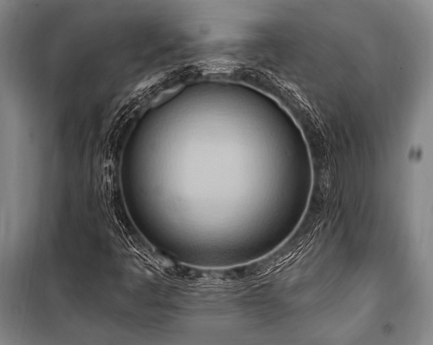 X0000101211445200806271403
