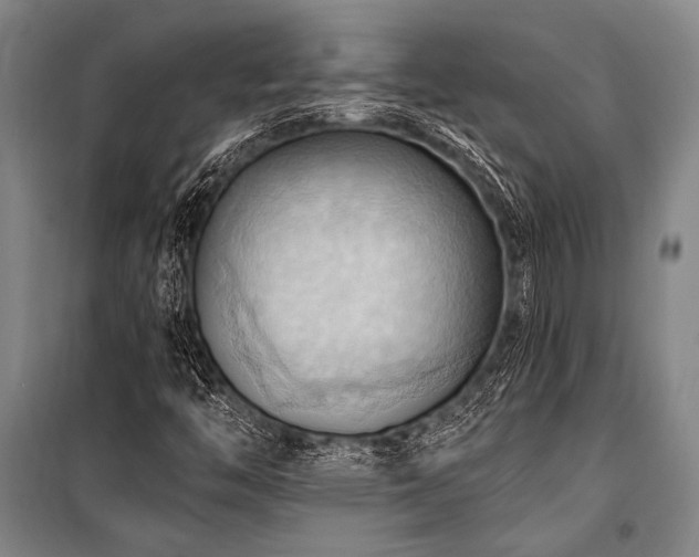X0000101211446200806271403