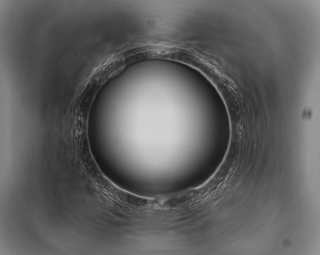 X0000101211447200806271403