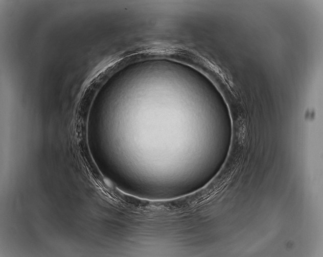 X0000101211448200806271403