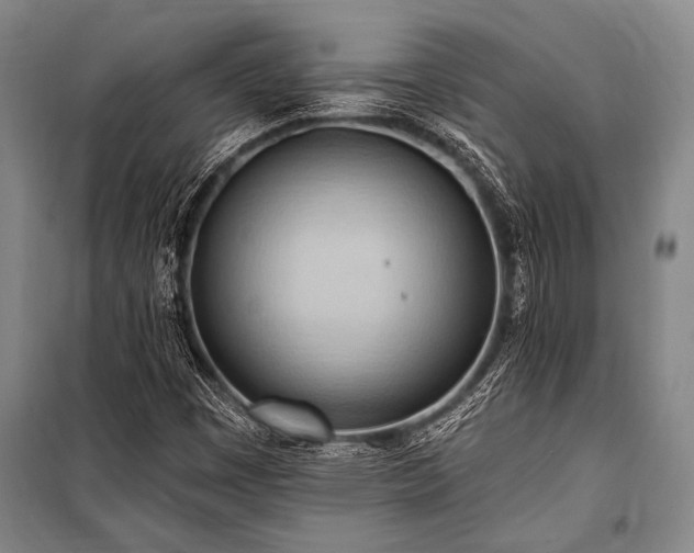 X0000101211449200806271403