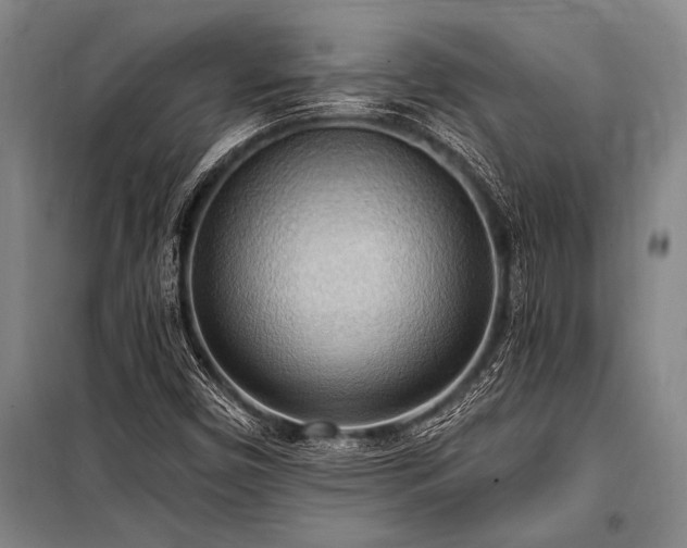 X0000101211450200806271403