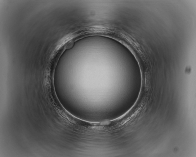 X0000101211453200806271403