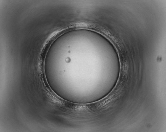X0000101211454200806271403