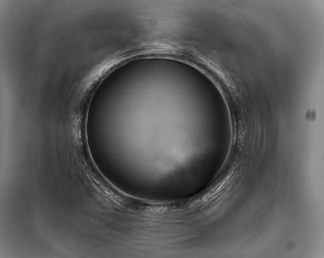 X0000101211455200806271403