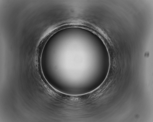 X0000101211456200806271403