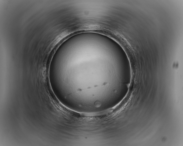 X0000101211457200806271403