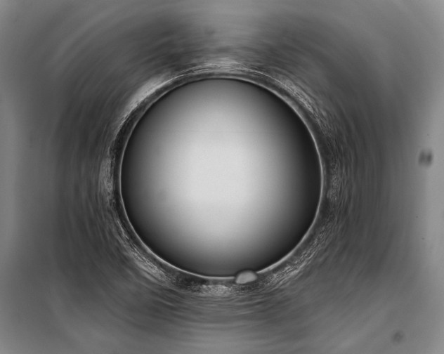X0000101211458200806271403