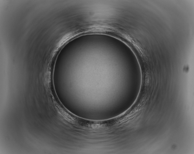 X0000101211459200806271403