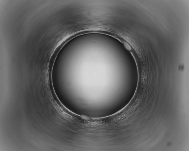 X0000101211460200806271403
