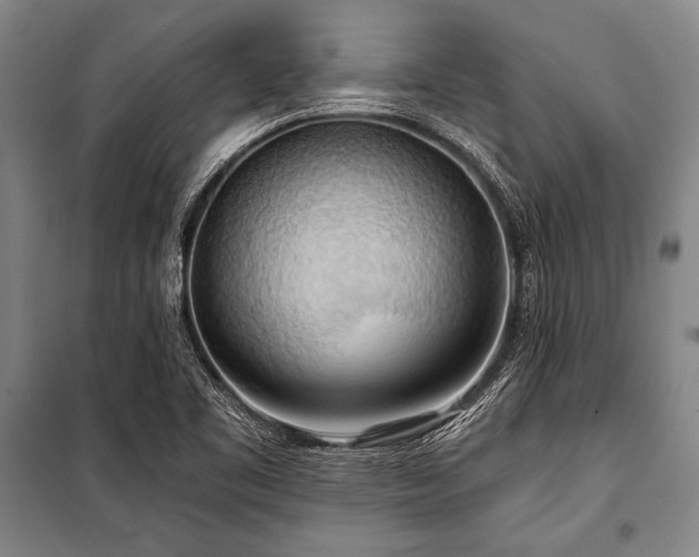 X0000101211461200806271403