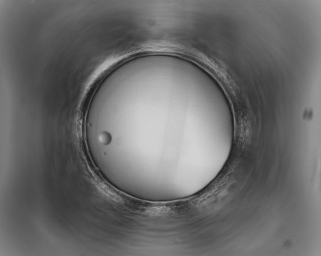 X0000101211462200806271403
