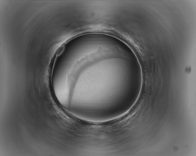 X0000101211463200806271403
