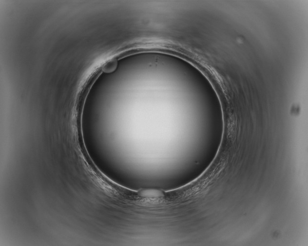 X0000101211464200806271403