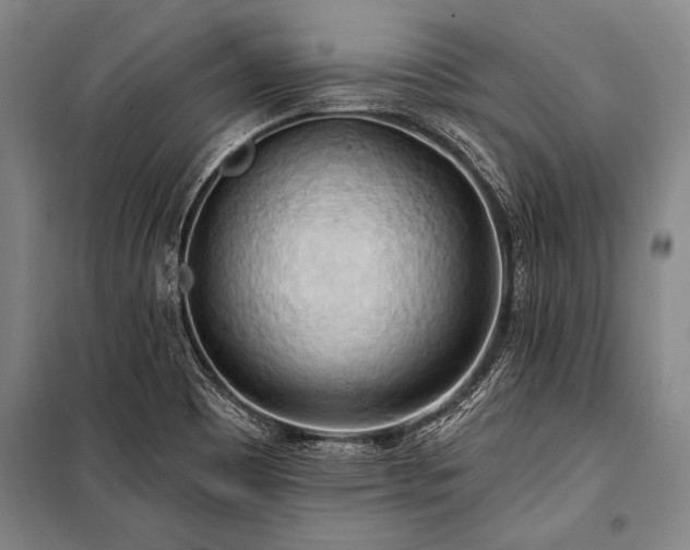 X0000101211465200806271403