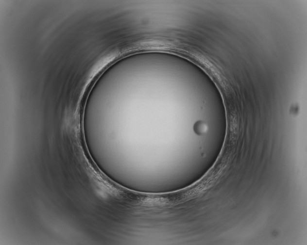 X0000101211466200806271403