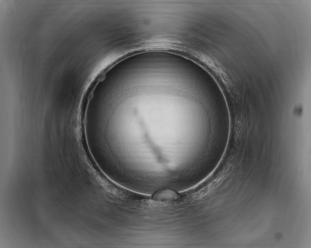 X0000101211469200806271403