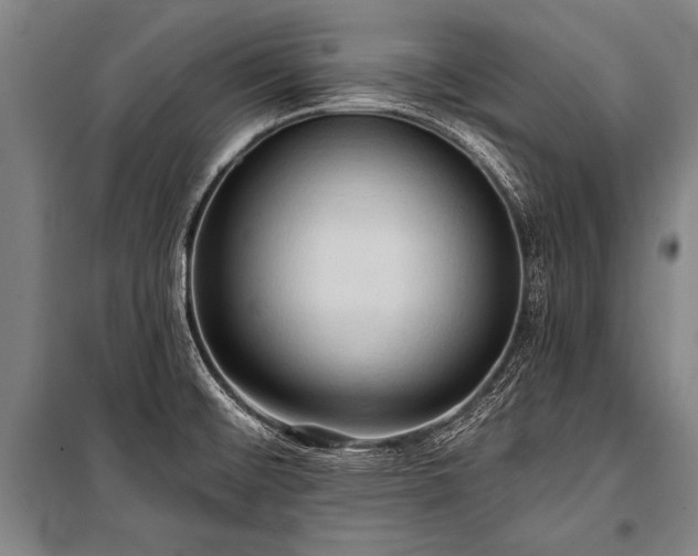X0000101211476200806271403
