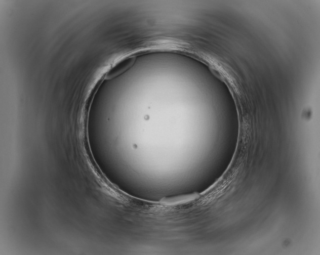 X0000101211477200806271403