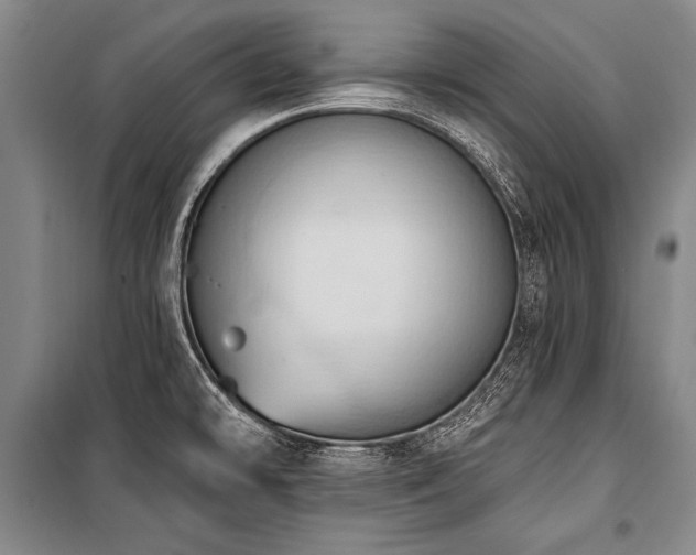 X0000101211478200806271403