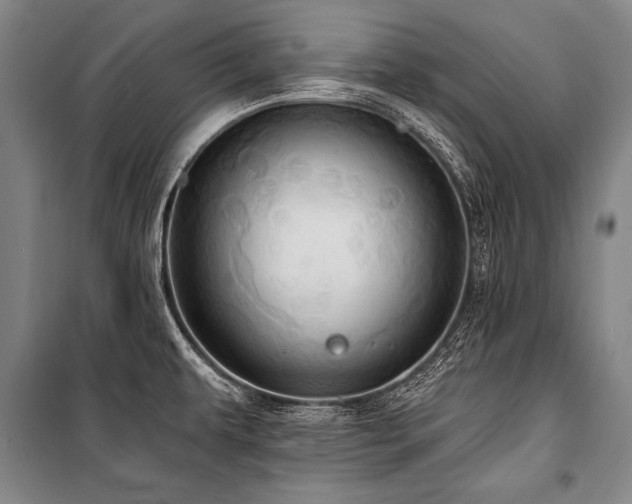 X0000101211479200806271403
