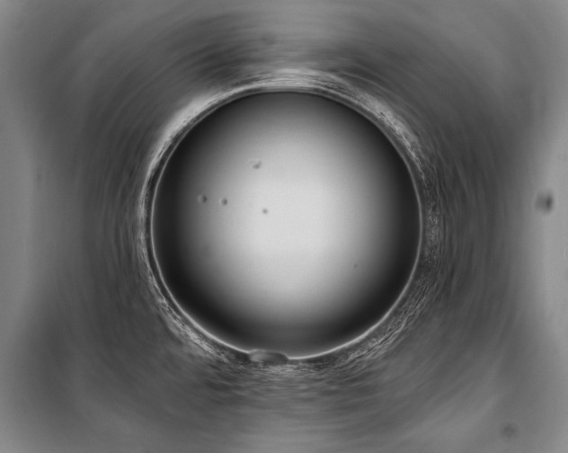 X0000101211480200806271403