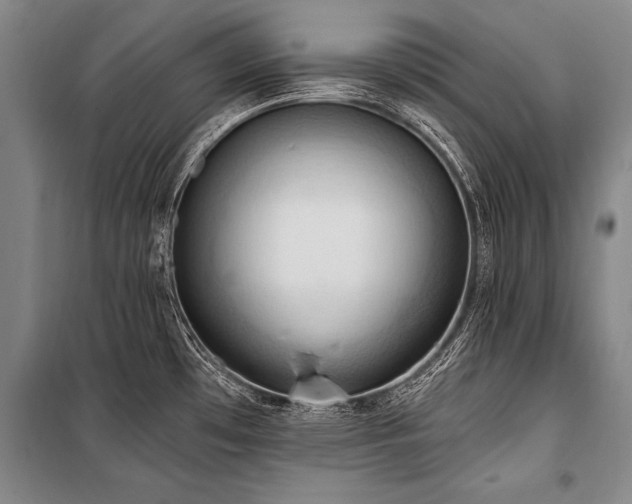 X0000101211481200806271403