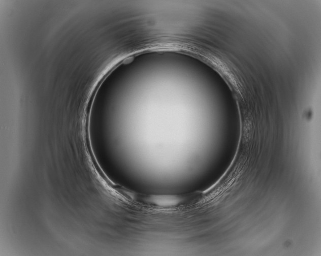 X0000101211484200806271403